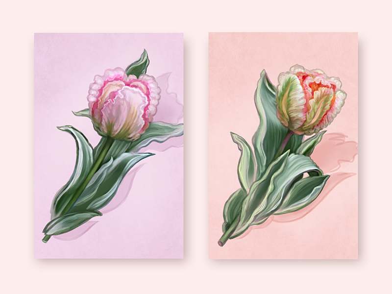 beautiful_tulips_by_digital_space