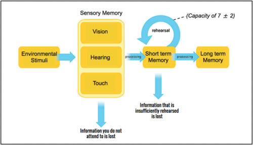 How Human Memory Works: Insights for UX Designers.