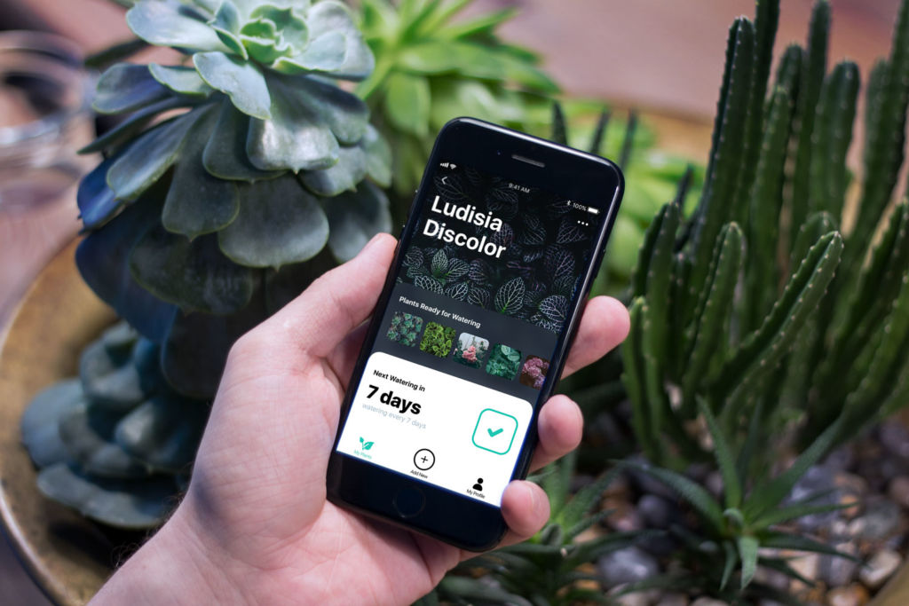 Design Case Study: Watering Tracker. Mobile UI for Home