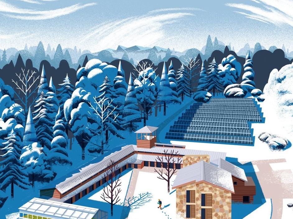 winter scene illustration