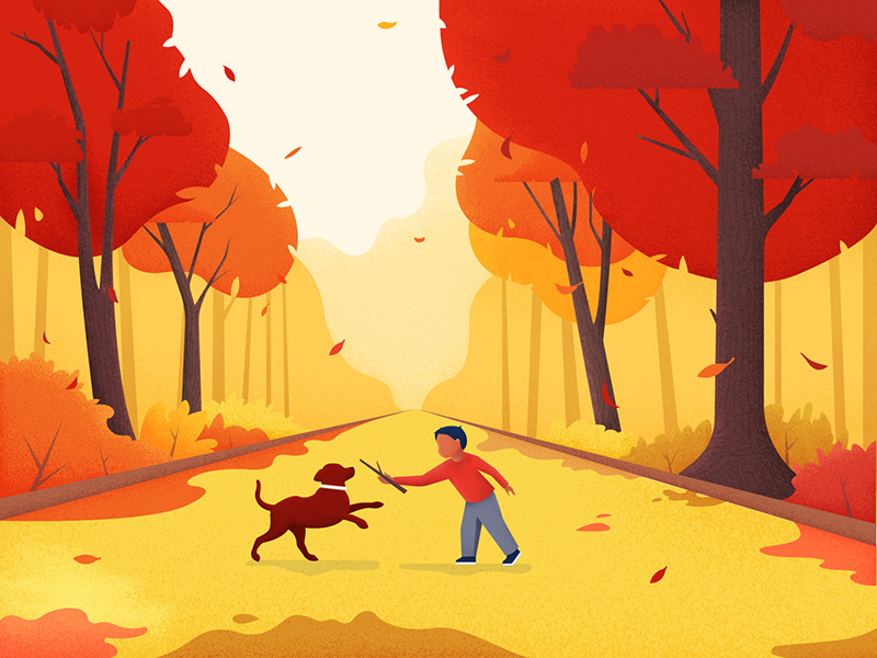 fall illustration