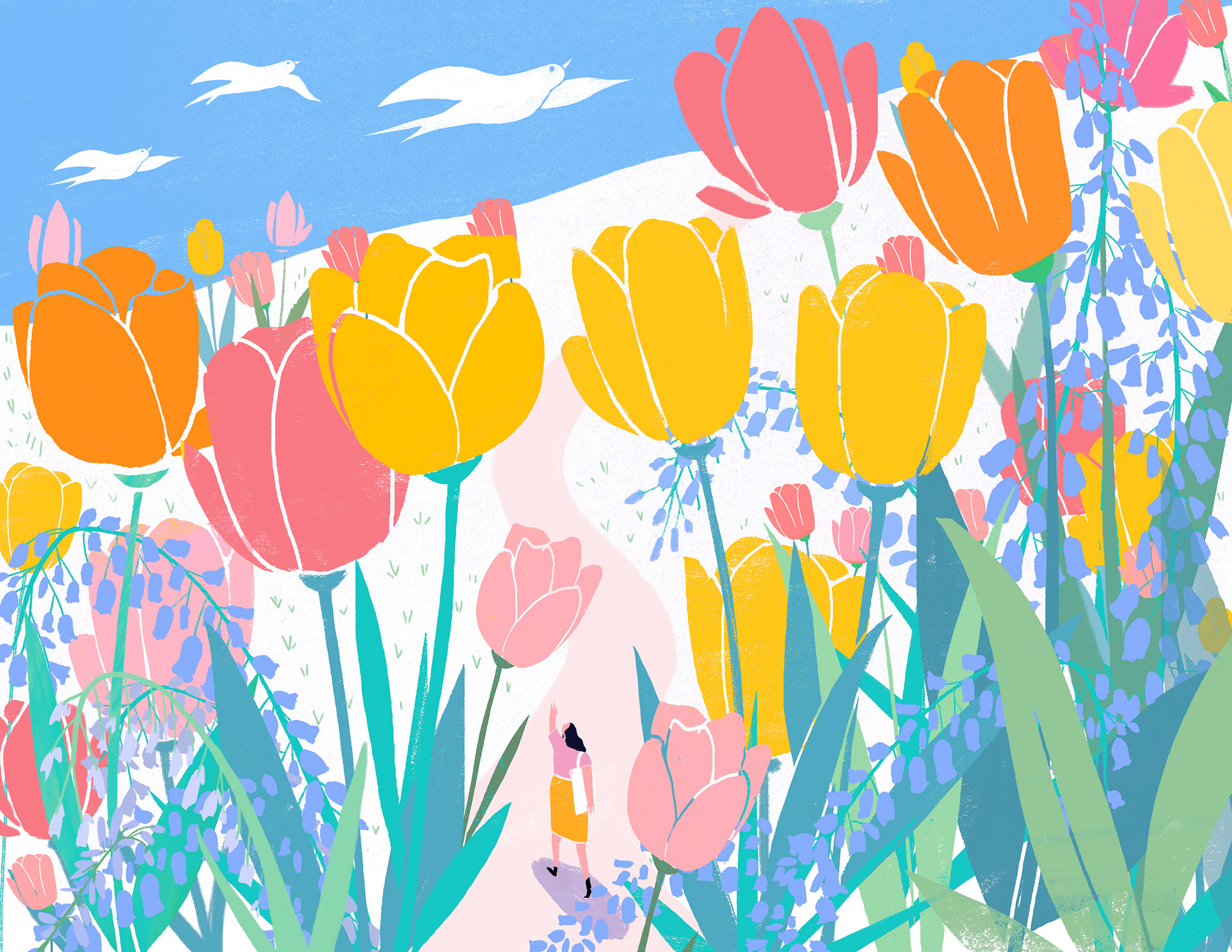 spring illustration