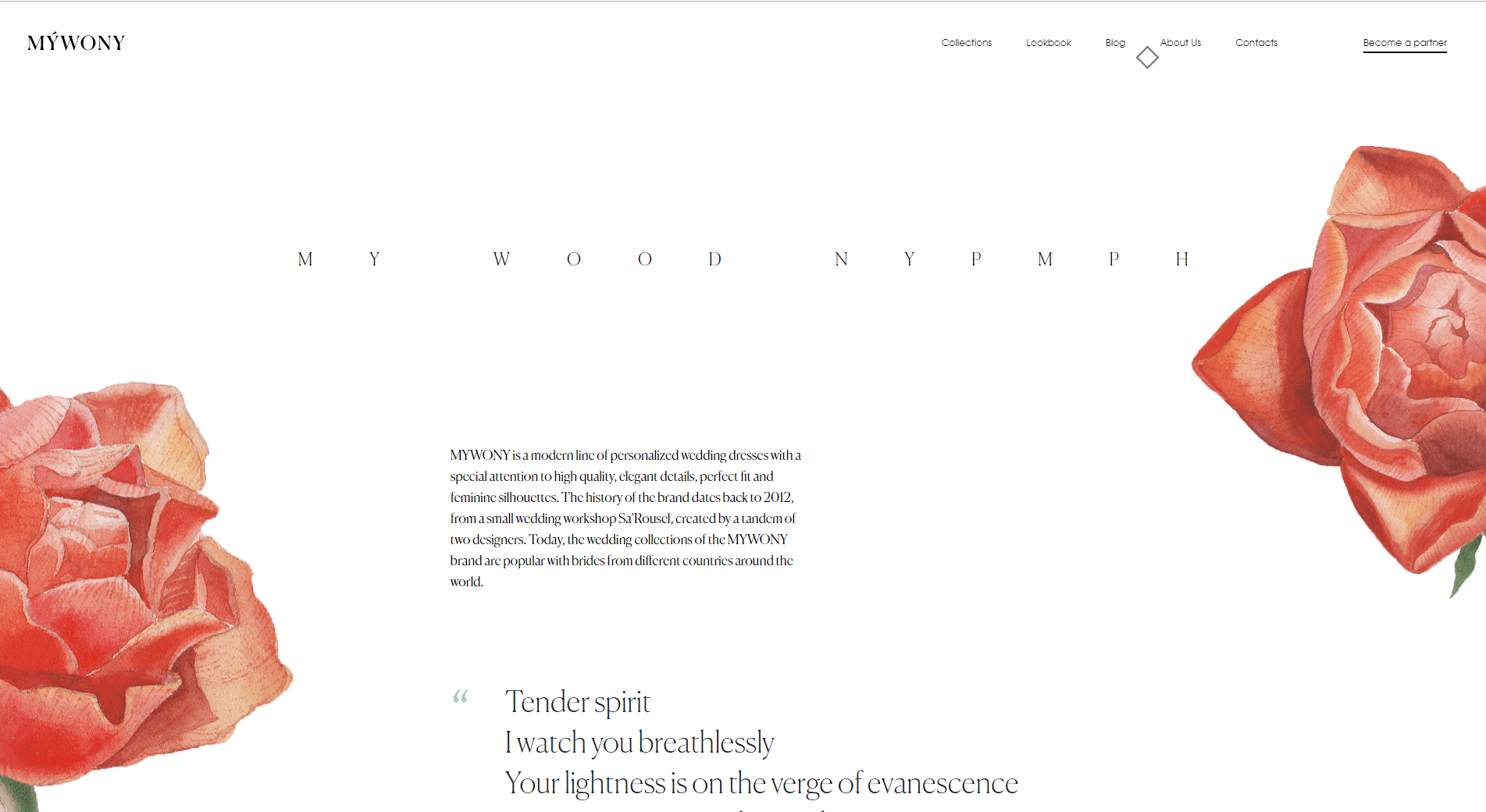 mywony website design