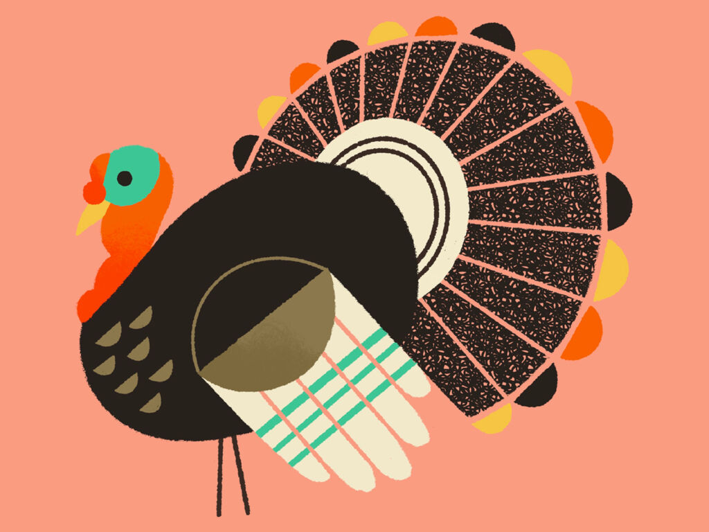 turkey illustrations