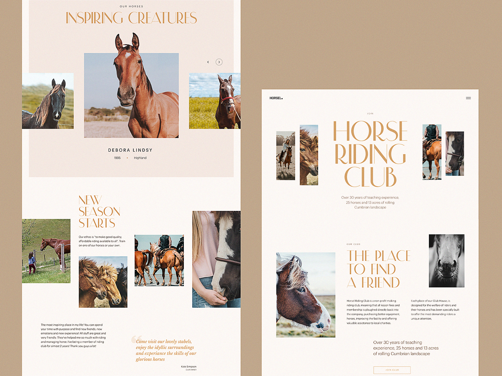 horse riding club web design