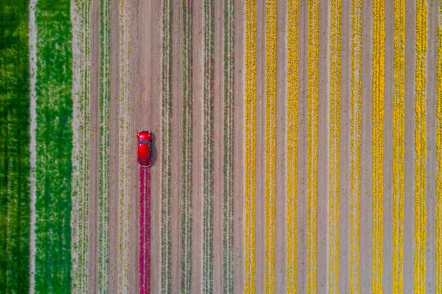 Birds-Eye View: Stunning Photography by Winners of Drone Photo Awards 2021