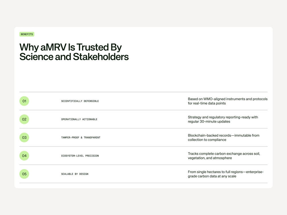 alethia website design design4users visual dividers article 