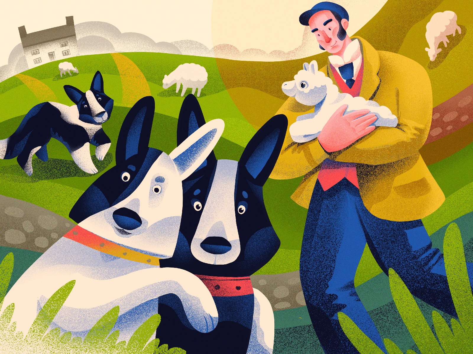 dogs-border-collie-illustrations