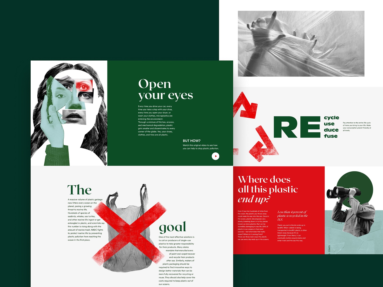 Web Design Examples on Environmental and Ecological Issues