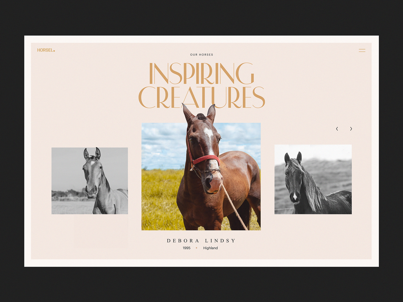 horse-riding-website-design-tubik-studio