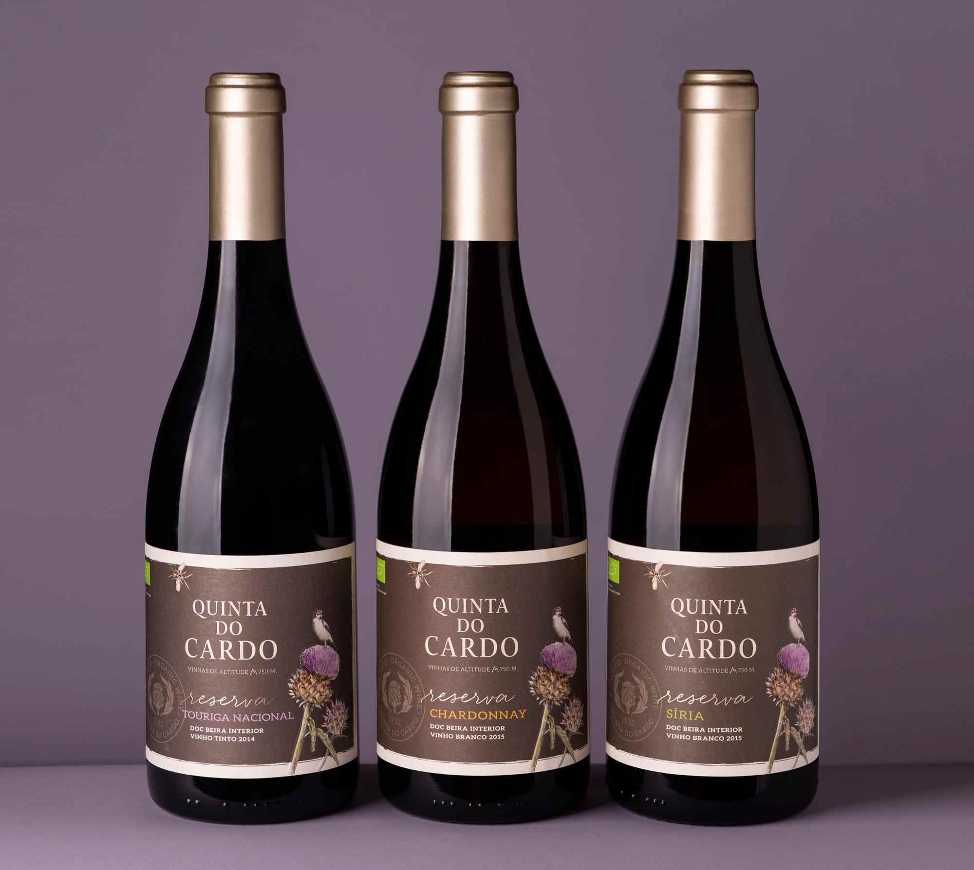 wine packaging design ritarivotti