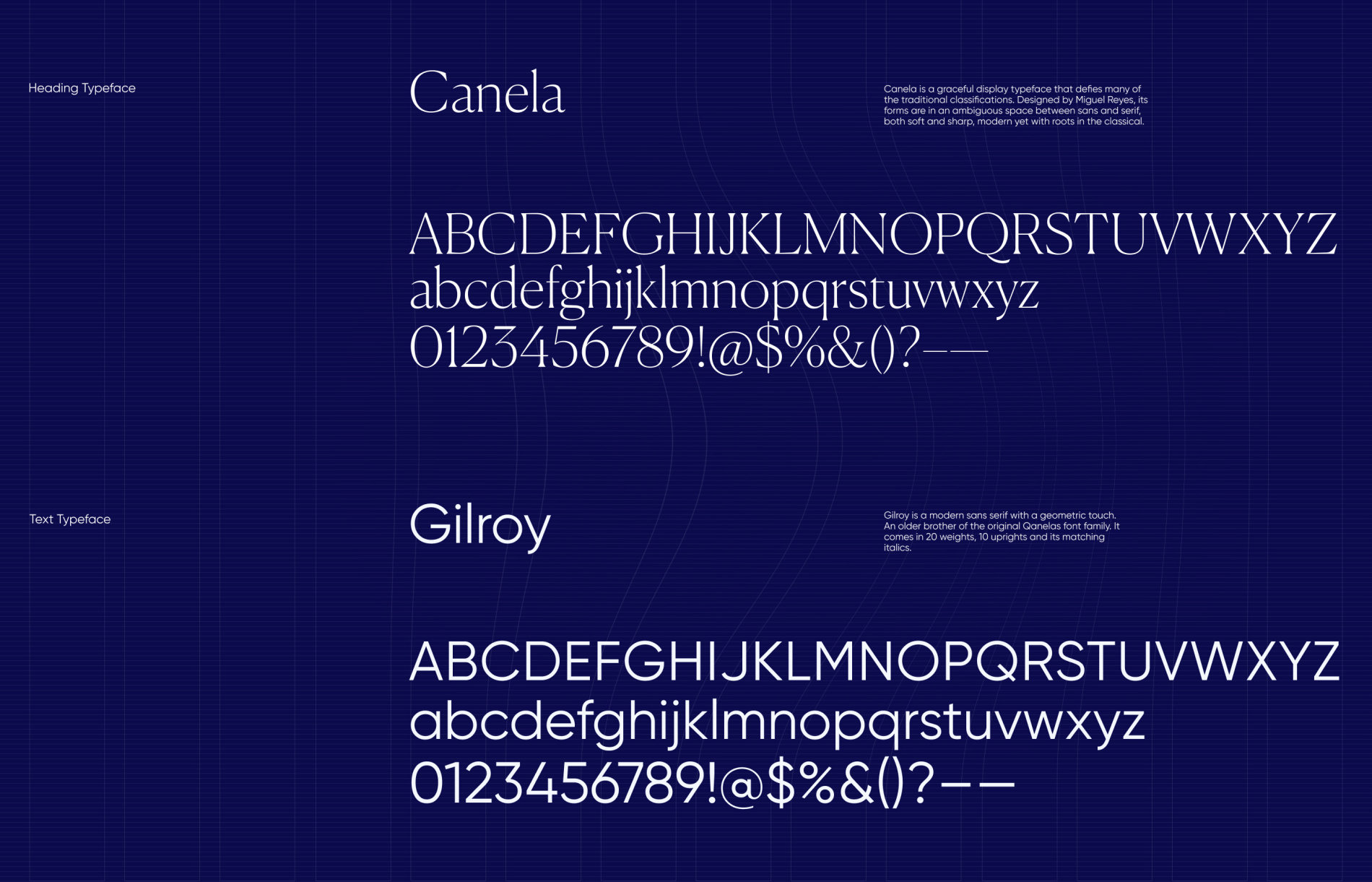 synthesized-website-fonts