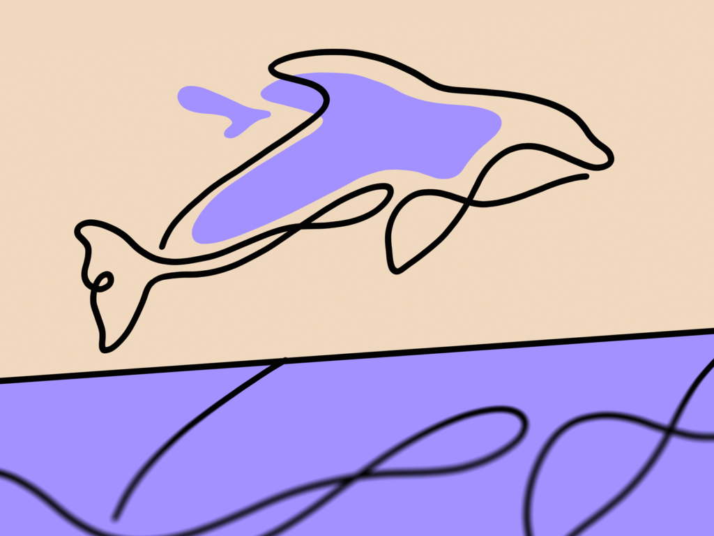 whale illustration line art tubik