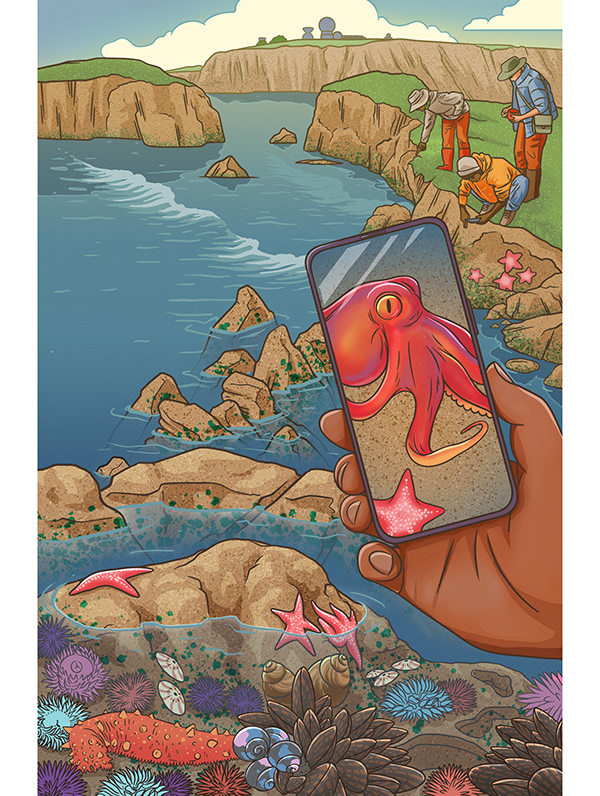 muti studio nature illustrations california academy design4users