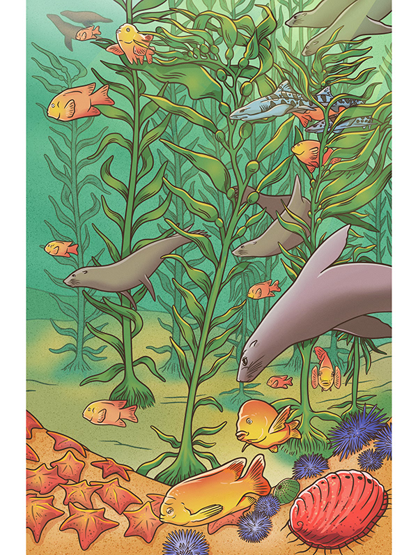 muti studio nature illustrations california academy design4users