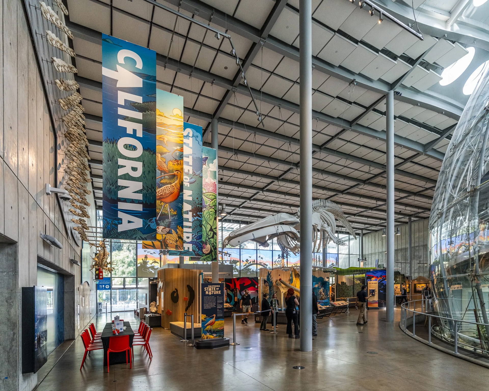 muti studio nature illustrations california academy design4users