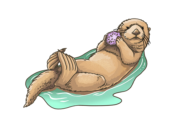 muti studio nature illustrations california academy design4users