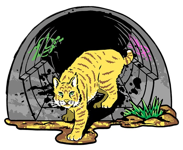 muti studio nature illustrations california academy design4users