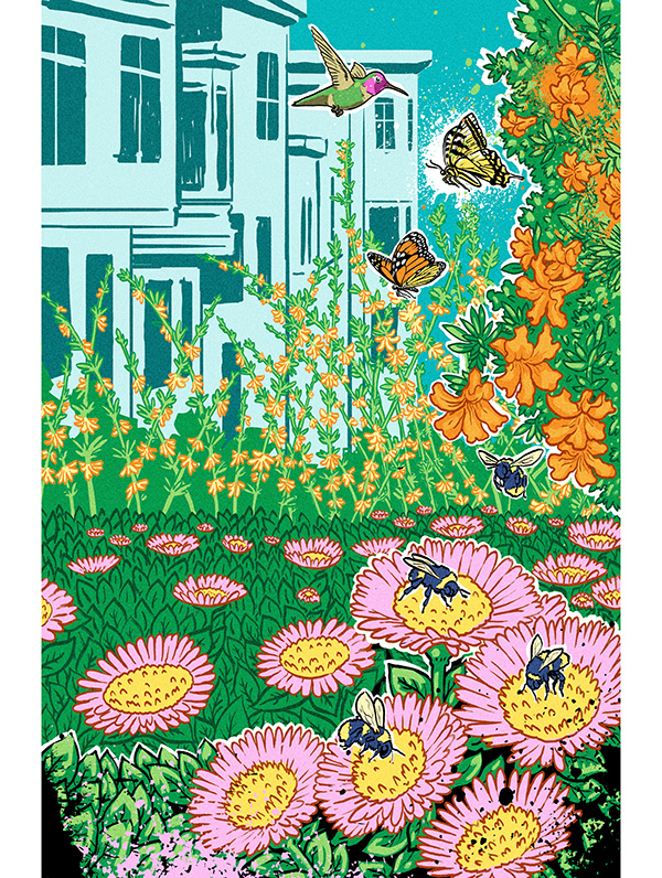 muti studio nature illustrations california academy design4users