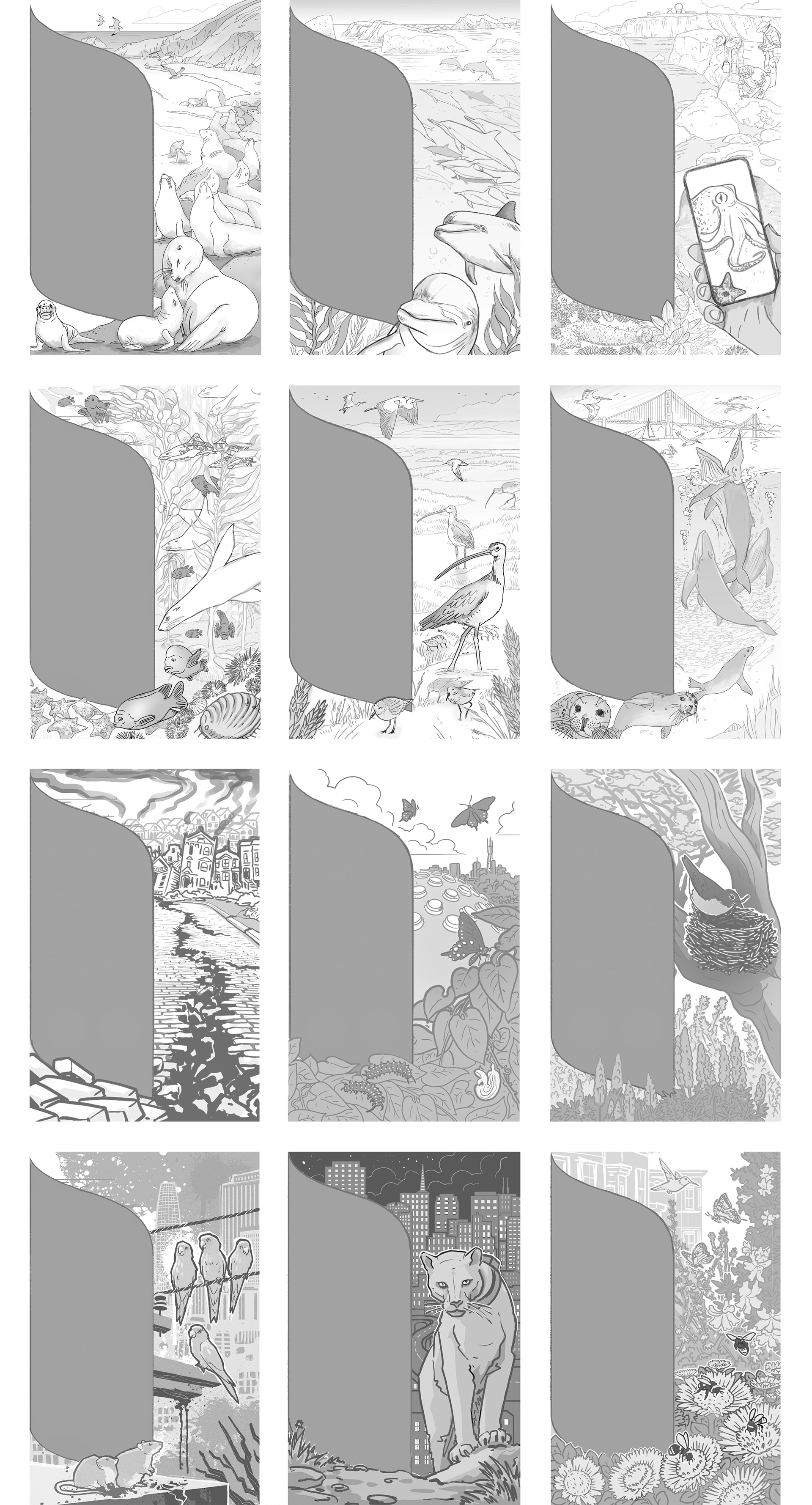 muti studio nature illustrations california academy design4users