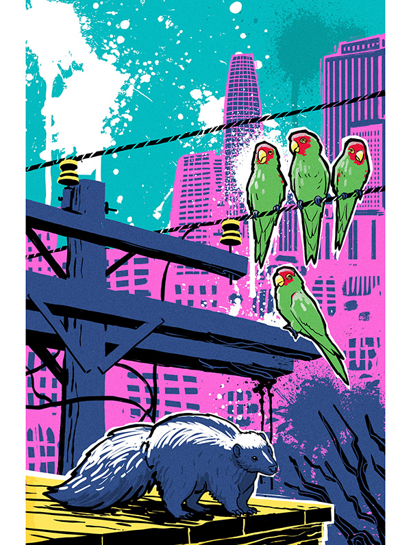 muti studio nature illustrations california academy design4users