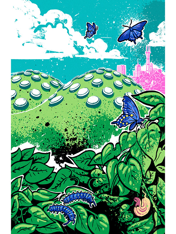 muti studio nature illustrations california academy design4users