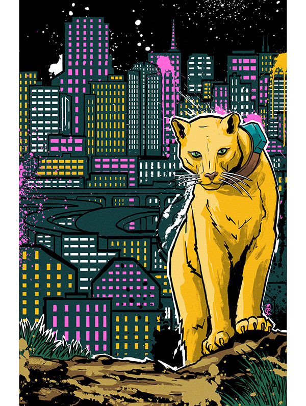 muti studio nature illustrations california academy design4users