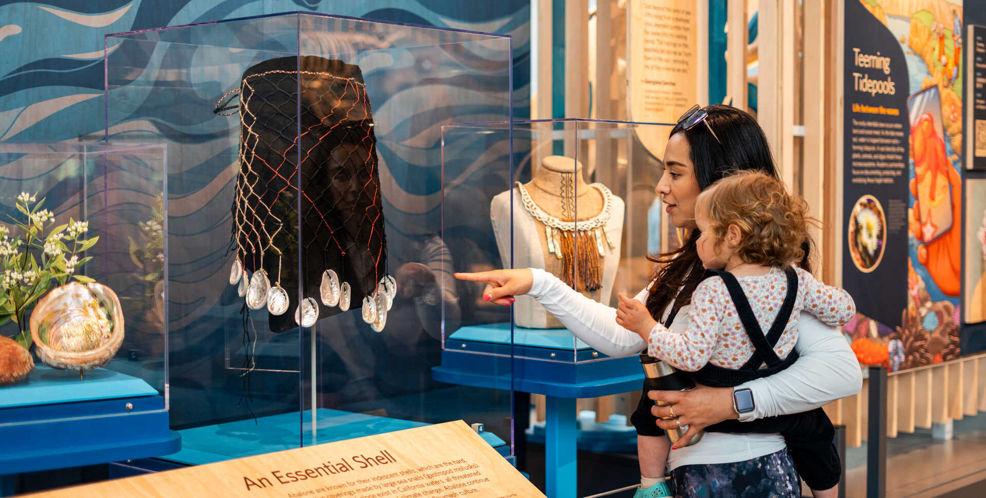 muti studio nature illustrations california academy design4users