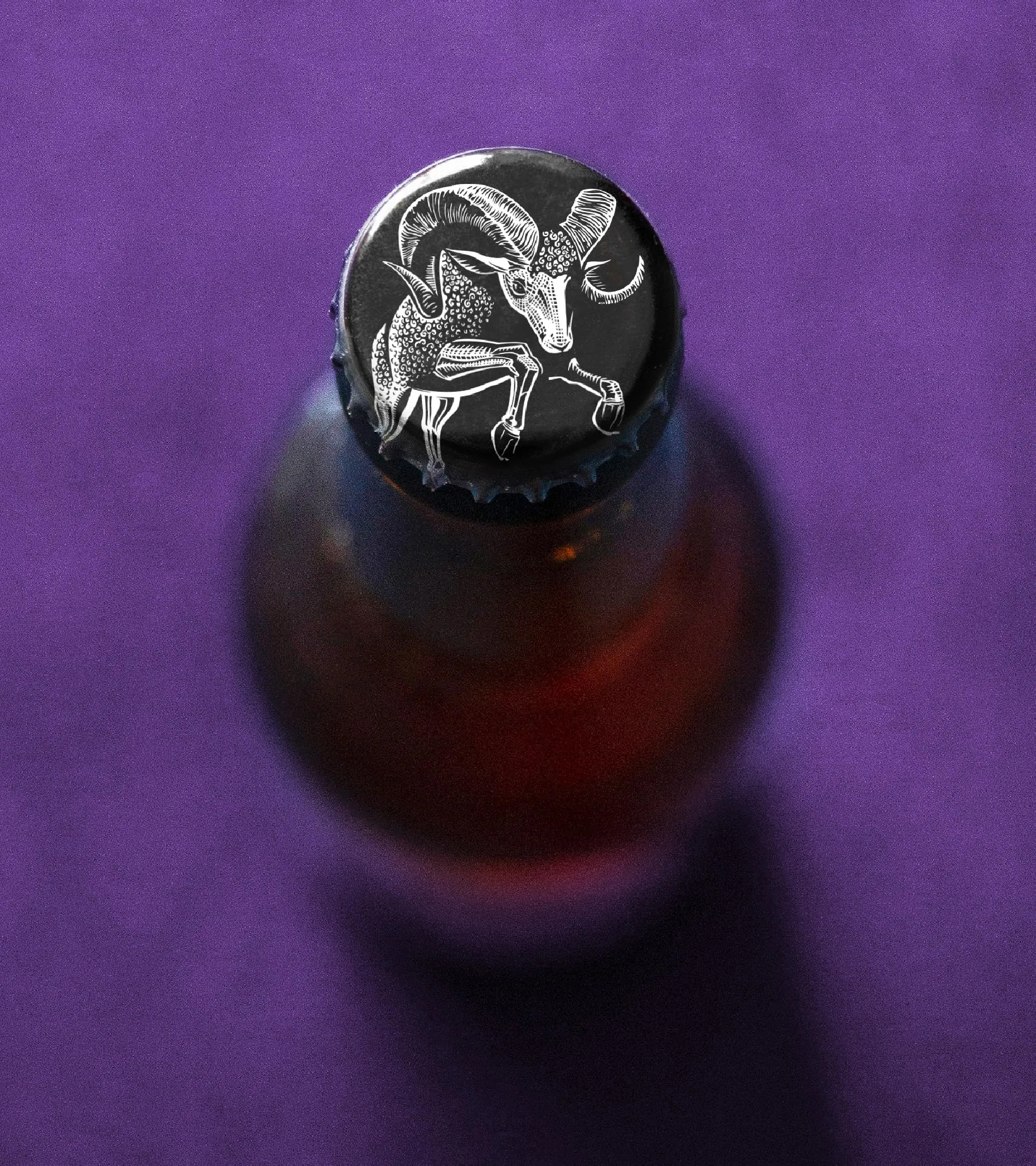 kingdom and sparrow beer packaging design design4users