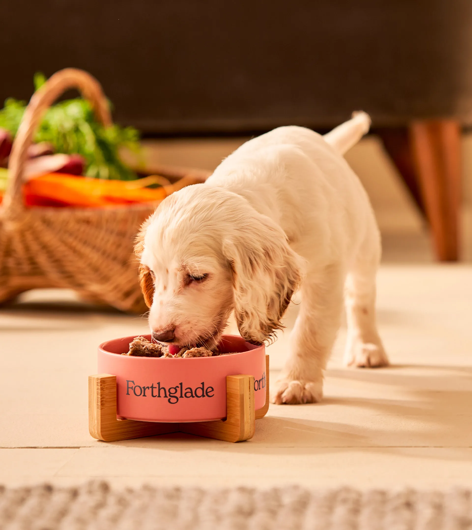 kingdom and sparrow pet food packaging design design4users