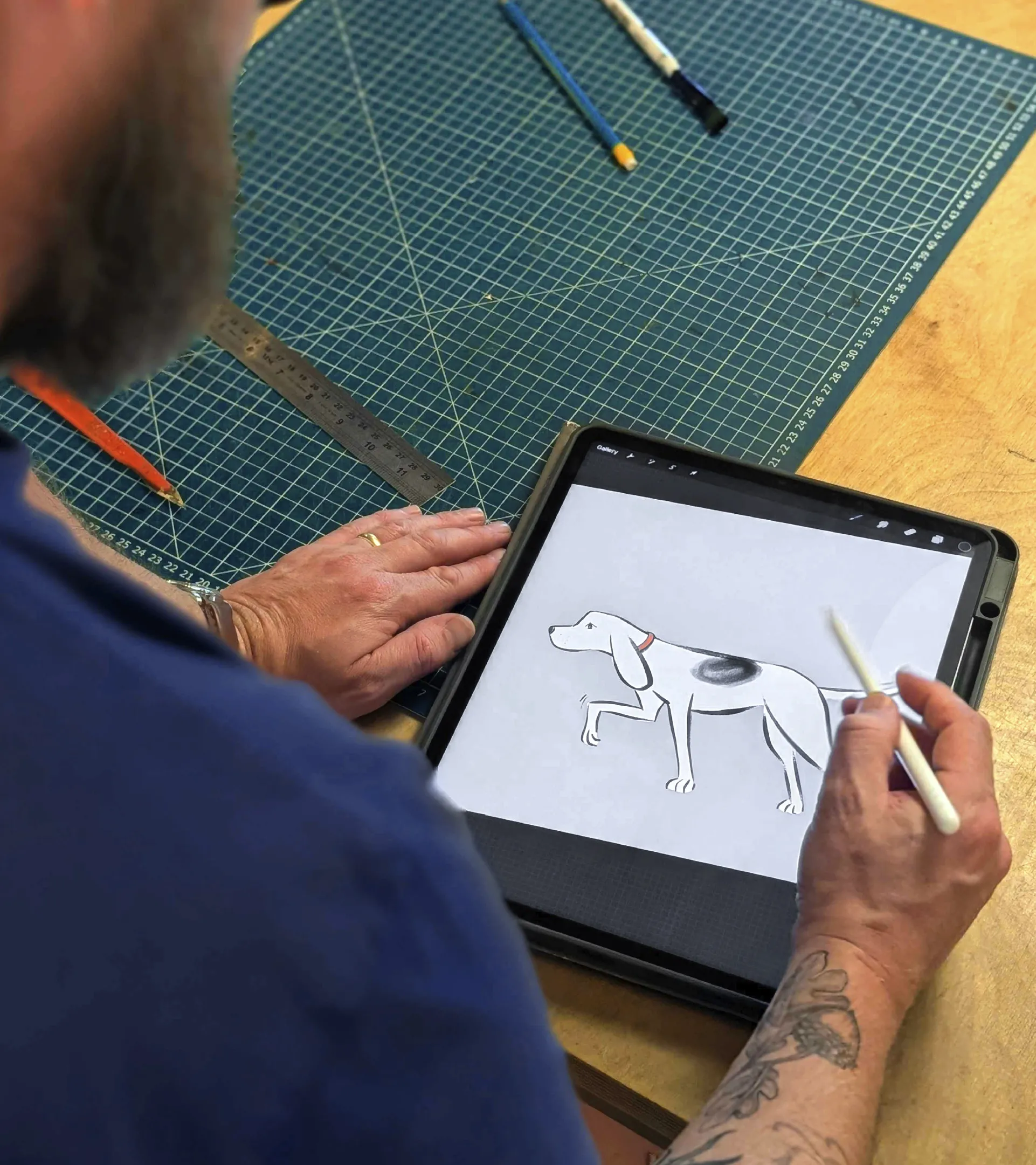 kingdom and sparrow pet food packaging design design4users