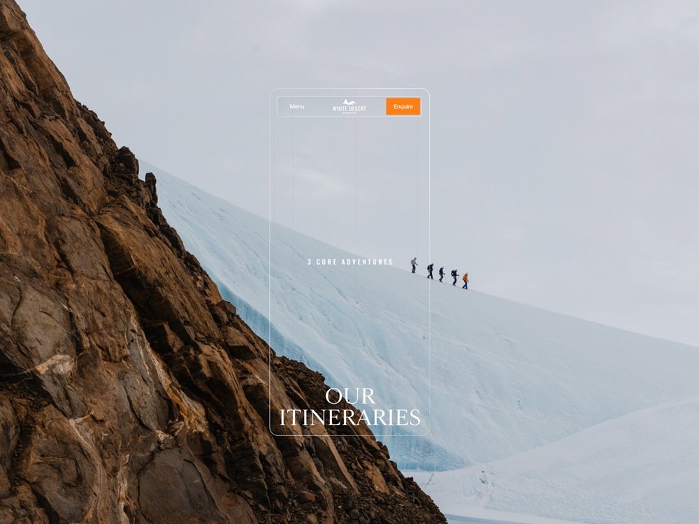 antartica webdesign design mobile ui design4users