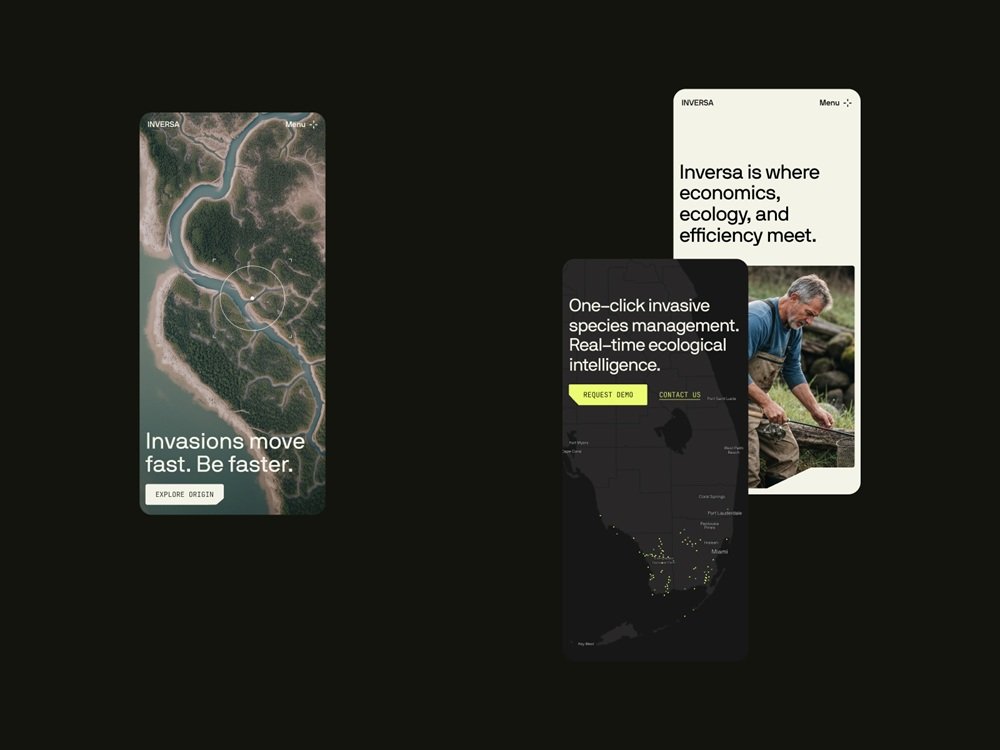 inversa website exo ape webdesign design4users case study